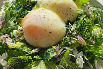 L'œuf un super aliment