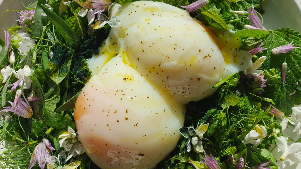 l oeuf un super aliment 1024x576 - L’œuf, un super aliment