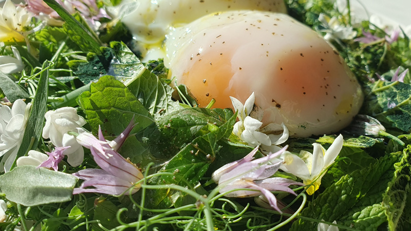 oeufs basse temperature - L’œuf, un super aliment